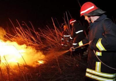 KOPA�KI RIT: Park prirode opet u plamenu
