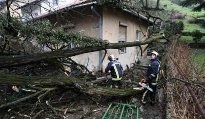 ZAGREB: Zbog obilne kiše poplavljene kuće, srušena stabla...