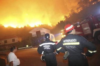 ŽRNOVNICA: Katastrofalan šumski požar iza Splita