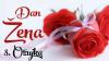 SRETAN DAN �ENA!