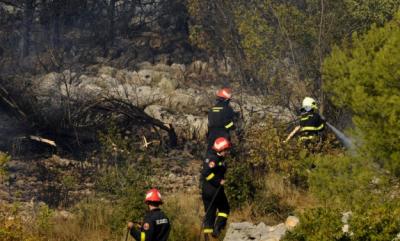 VODICE: Gorilo na predjelu Pri�be